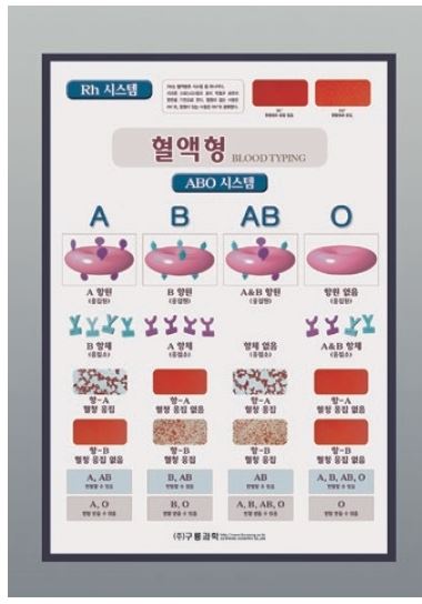 혈액형(판넬용)