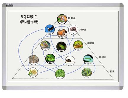 먹이사슬, 먹이피라미드 구성판