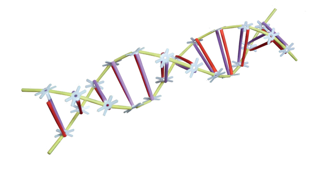 [프레임] DNA 1