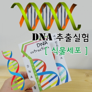 식물세포 DNA추출법 (10인용)