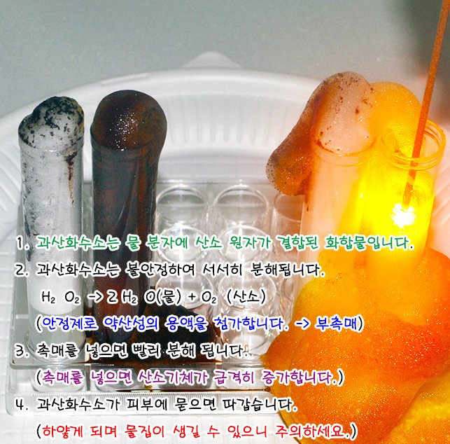 NS 과산화수소의 분해반응 키트 촉매 부촉매 (4인용) 2인1조