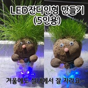 LED크리스탈잔디인형만들기(5인) 크리스탈LED잔디인형만들기 새싹인형만들기 귀여운잔디인형