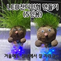 LED크리스탈잔디인형만들기(5인) 크리스탈LED잔디인형만들기 새싹인형만들기 귀여운잔디인형