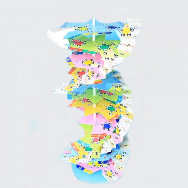 DNA모형제작세트ll Production of DNA Model Kit
