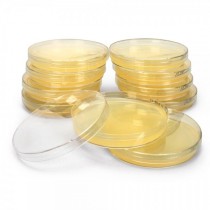 LB Agar Plate 생물나라 (수량 옵션선택)