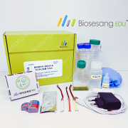 클로렐라의 광합성으로 지구온난화를 막아라 (5인KIT)