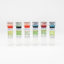 전기영동 염색샘플 ( 범인색출용 )