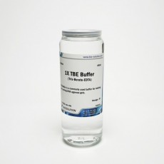 TBE buffer BIOZOA 1X - 450mL