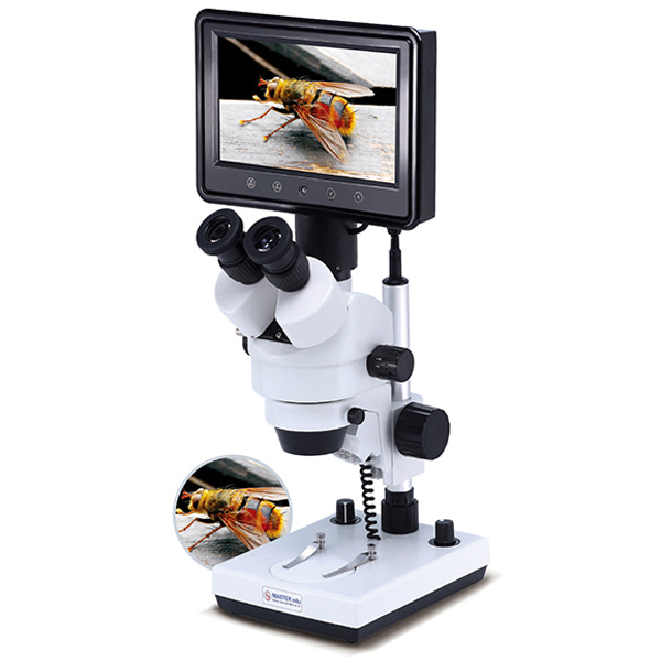 실체현미경(교사용)(45배/멀티영상)/영상현미