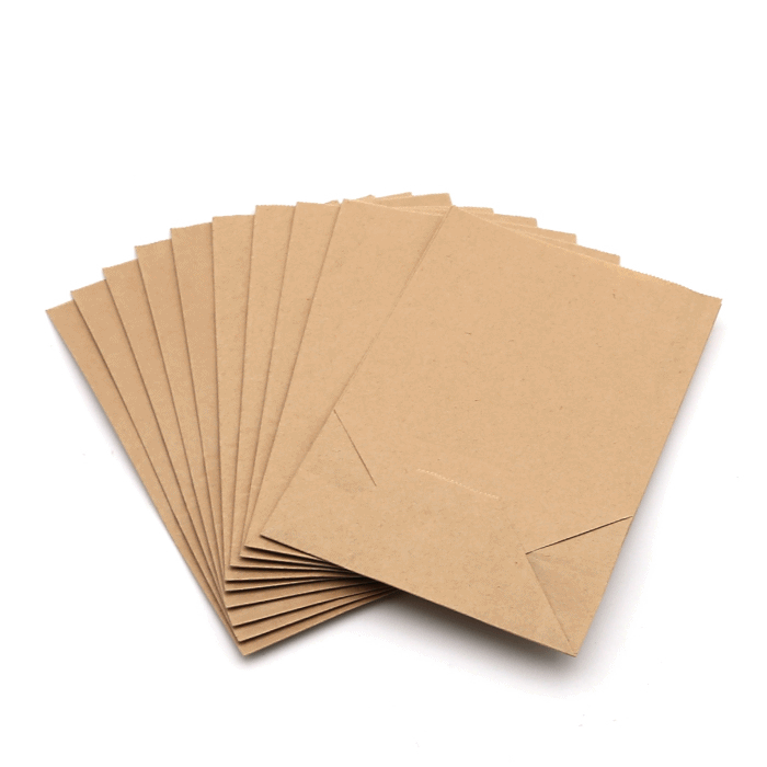 호흡기관의구조와기능 알아보기용 종이봉투 (10매입)