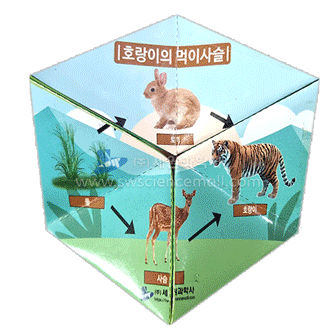 생태계 먹이사슬(5명1set) - 칼레이도 사이클